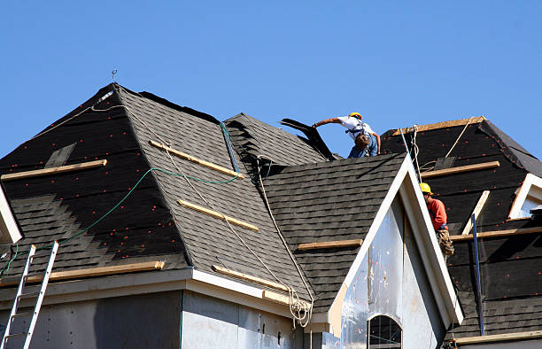 Best Roof Moss and Algae Removal  in Brogden, NC